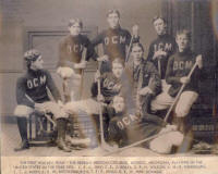 DetroitMedicalCollegeHockey1896s.jpg (78304 bytes)